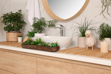 Wall Mural - Counter with sink and many different houseplants near white marble wall