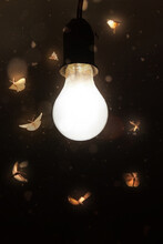 Night Moths Fly To The Light Of A Vintage Lamp.