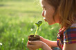 Young green sprout in the hands of a child in the light of the sun on a background of green grass. Natural seedlings, eco-friendly, new life, youth. The concept of development, peace, care. Copy space