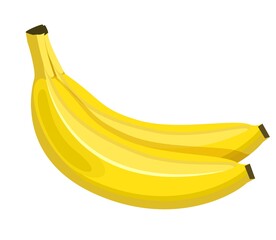 banana. two bananas in a bunch cartoon icon