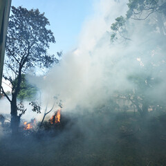 Backyard and a green summer garden in flame. Fire and smoke close-up. Forest fires in Europe. Seasons, ecology, ecological issue, environmental damage, disaster, danger, social problems