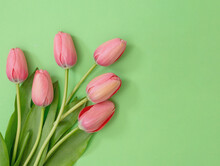 Tulip Flower Bunch Pink Color On Pastel Green Background. Woman, Mother Day Celebration Gift