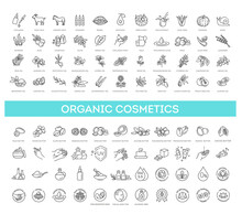 Vector Set Of Natural Ingredients And Oils For Cosmetics In Linear Style