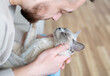 © Julija - Bearded man with fluffy Burmese  cat. Cat very happy with owner. Relaxing with amazing cat. Friendship and love between human and cat.