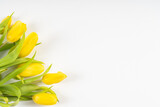 Fototapeta Tulipany - layout of yellow tulips on a white background with copy space