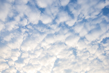 Wall Mural - blue sky with clouds