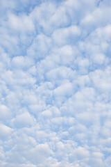 Wall Mural - blue sky with white clouds