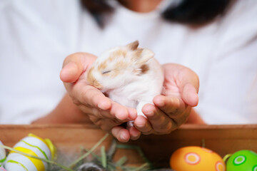 Wall Mural - Asian woman holding tiny bunny in hand with tenderness and love. People take care a pet and decorate home for Easter. Happy Easter Happy holiday.