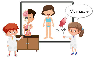 Young doctor explaining muscle anatomy