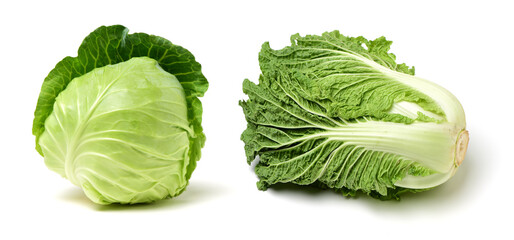 Wall Mural - cabbage on a white background