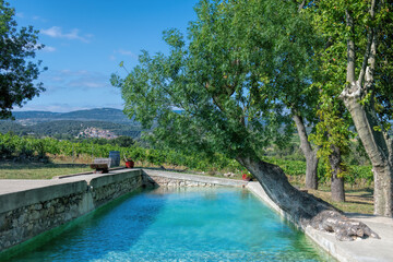 Wall Mural - natural swimming pool with blue green water