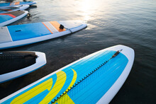 Stand Up SUP Paddle Board On Lake Or Sea With Blue Water Lilies, Paddling In Summer Time At Sunset. Summer Family Vacation