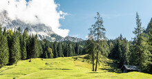 Alpine Meadow In Summer With Zugspitze Mountain In Background
