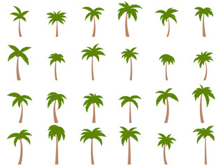 Wall Mural - palm trees with coconuts on a white background. big set of tropical palm trees in different shapes a