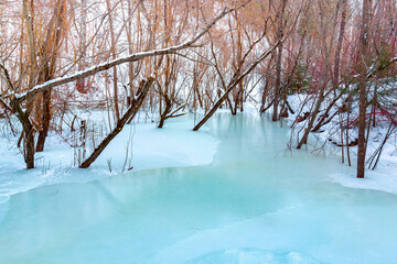 Frozen stream in winter forest. Reflection of trees in the blue mirror surface of ice. Fabulous winter landscape