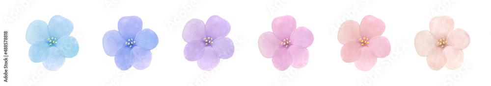 パステルカラーの花の水彩イラスト の Stock イラスト | Adobe Stock