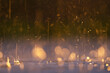 © Staffan Widstrand - Rain, light and Bokeh balls