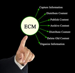 Wall Mural - functions of enterprise content management