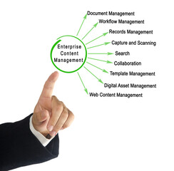 Wall Mural - presenting enterprise content management (ecm)