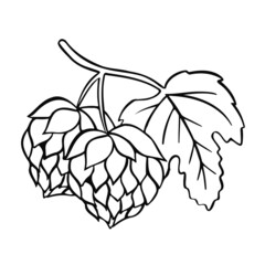 symbol Hops beer plant illustration vector