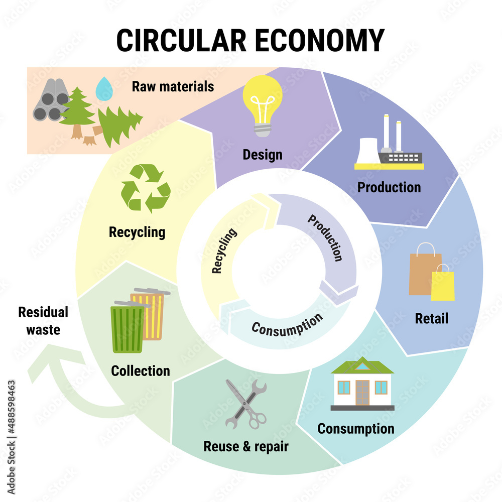 Circular economy infographic. Sustainable business model. Scheme of ...