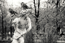 Three Pigeons Sitting On Dirty Statue. Tuileries Garden. Paris. Black Whitehistoric Photo