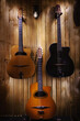 Three Gypsy Jazz Acoustic Guitars