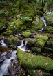 Long exposure of a stream running through moss covered rocks
