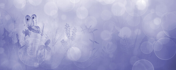 Meadow wild flowers, herbs, grasses horizontal purple background with butterfly