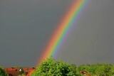 Fototapeta Tęcza - Regenbogen vor grauen Wolken