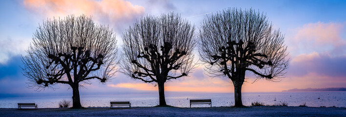 Canvas Print - bench at a park