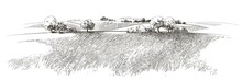 Vector Sketch Green Grass Field On Small Hills. Meadow, Alkali, Lye, Grassland, Pommel, Lea, Pasturage, Farm. Rural Scenery Landscape Panorama Of Countryside Pastures. Illustration