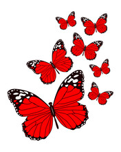 Illustration, Elegant Red Butterflies With White And Black Pattern. Print, Poster, Textile, Postcard