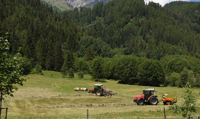 Wall Mural - fieno campi trattori agricolo agricoltura 