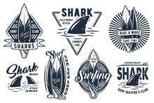 Surf Board For Summer Surfing On The Waves Collection. Shark And Surfboard Emblems.