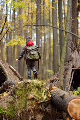 Wall Mural - Little boy scout during hiking in autumn forest. Behind the child is teepee hut. Adventure, scouting and hiking tourism for kids.