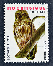 Cancelled Postage Stamp Printed By Mozambique, That Shows Pel's Fishing Owl  - Scotopelia Peli, Circa 1996.