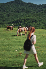 girl in the field with horse