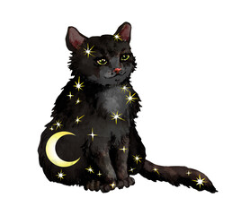 black cat with stars. watercolor animal with fantasy night image for sacred, astronomy, spiritual de