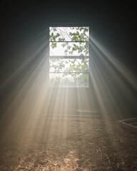 Sticker - A vertical shot of sunlight pours into the old house and window looking out into the yard