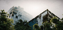 Post-apocalyptic Office Building In Fog  With Overgrown, Trees And Vegetation - The Concept Of The Apocalypse After The Outbreak Of Nuclear War - 3d Render