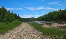 A Temporary (seasonal Summer) Improvised Road Along The Bed Of A Drying River (summer Steady Low Water Level), Russian Roads. Siberian Taiga