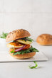 Halloumi burger with tomato, arugula and red onion. Sandwich with halloumi cheese and vegetables, mediterranean cuisine
