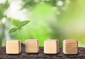 Canvas Print - Year 2022 concept in wooden blocks cubes with growing plant. New year