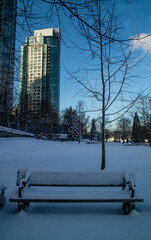 Wall Mural - Banco de jardim e praça coberto de neve em Vancouver.