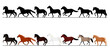 moving horse in a row with colours and silhouettes
