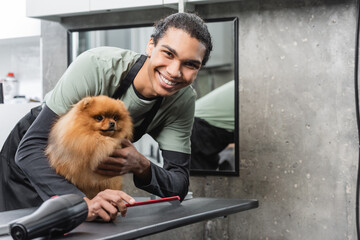 Wall Mural - young african american pet barber smiling at camera near fluffy spitz and hair dryer on grooming table.