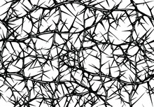 Hand Drawn Vector Seamless Black And White Pattern Of Messy Impenetrable Tangled Briar Patch With Thorns.