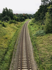 Poster - Vertical shot of railway surrounded by trees