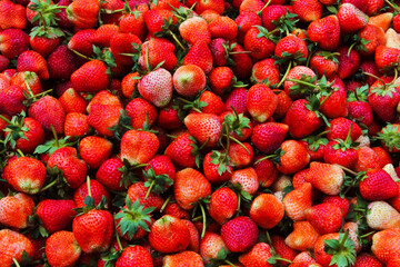 close up  Beautiful red ripe strawberries in top view.